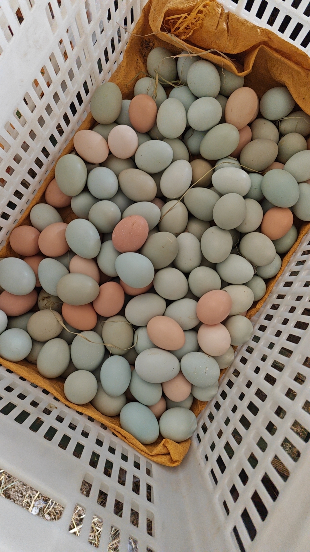 有机硒合成原料
