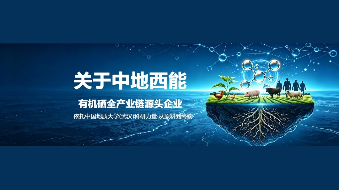武汉中地西能是做什么的？实力靠谱吗？