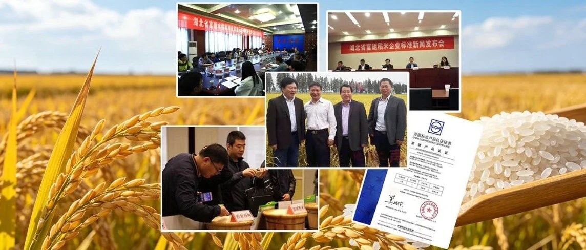 湖北首款标准化富硒大米