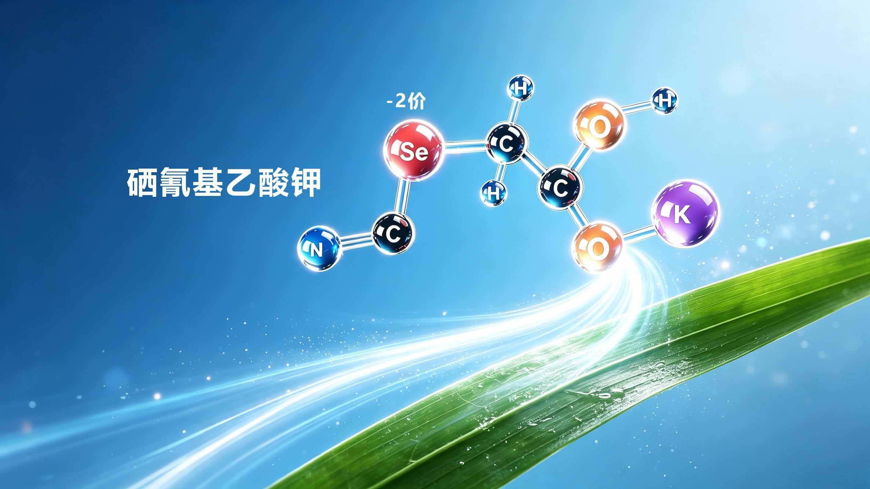 小分子有机硒