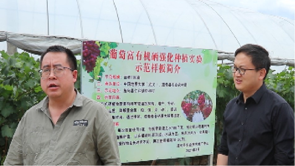 云南富硒葡萄示范基地