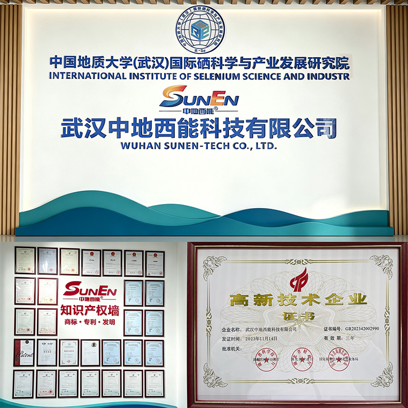 中地西能公司展示