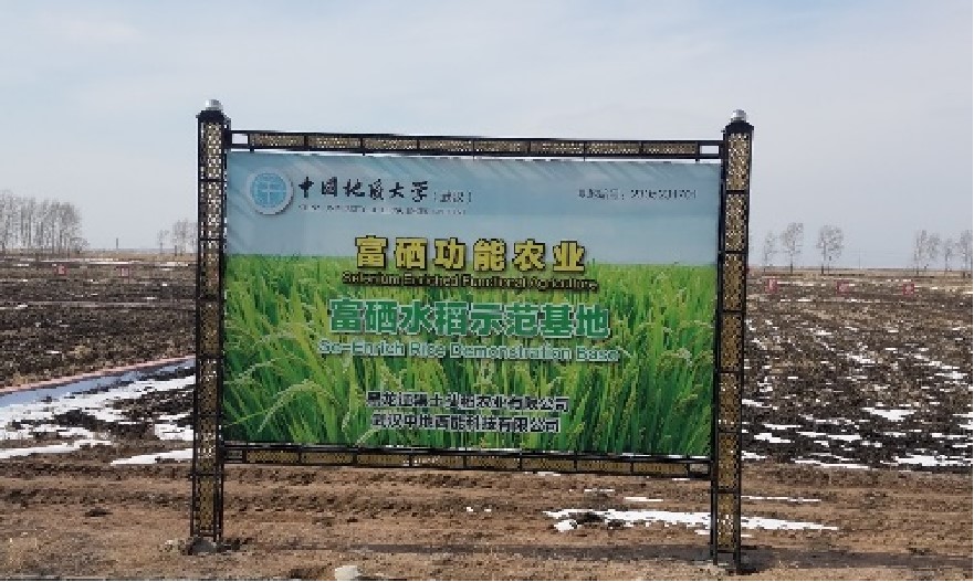 黑龙江富硒水稻示范基地
