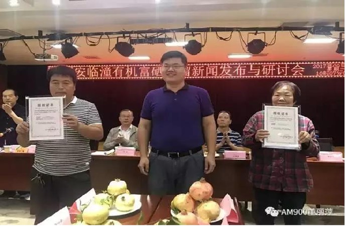 临潼富硒石榴发布会