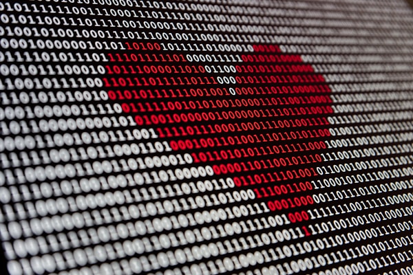 蛋鸡富硒养殖技术