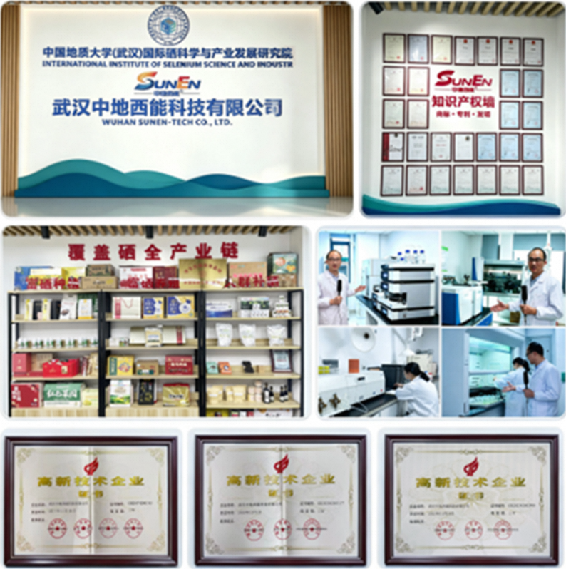 中地西能公司展示