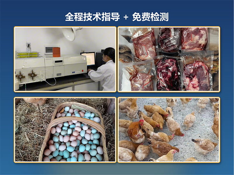 全程技术指导
