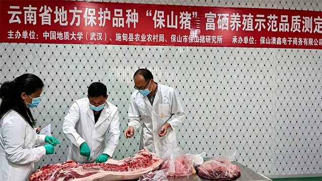 生猪富硒方案