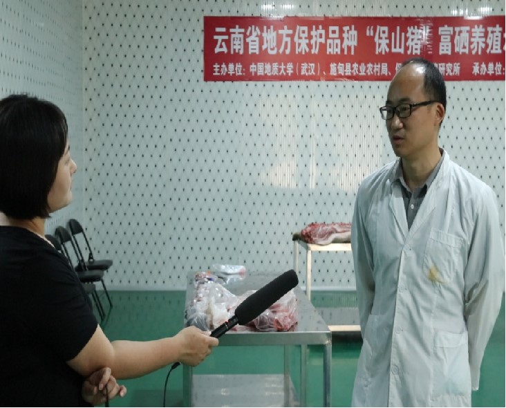 云南地方保护品种保山猪富硒养殖